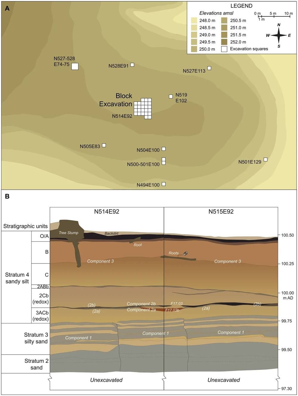 A contour map of a small excavation grid on a bluff top above a cross-section drawing of soil layers labeled Component 1, Component 2 and Component 3 and strata 2 to 4.