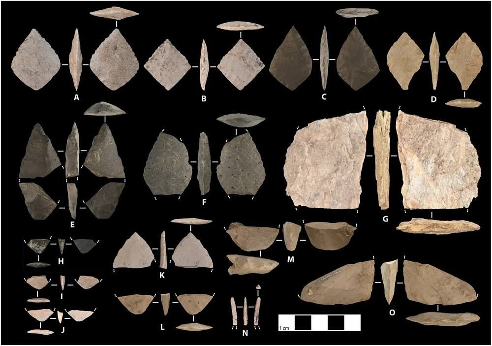 A black-background photograph of many gray and tan flaked stone tools, several of them diamond-shaped, arranged in rows with a scale bar.