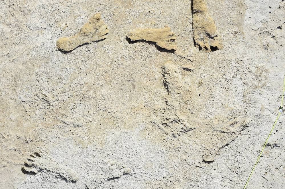 Several bare-foot-shaped impressions in pale, hard gypsum-rich ground, some with toe marks, seen from above.