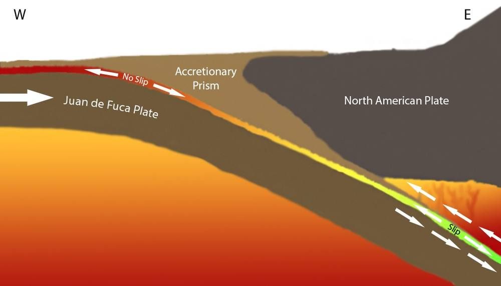 A side-view diagram showing an oceanic plate dipping beneath a continental plate, with the locked zone marked in red and the accretionary wedge near the coast.